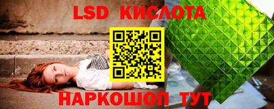 гашик Малгобек