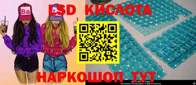 гашик Малгобек