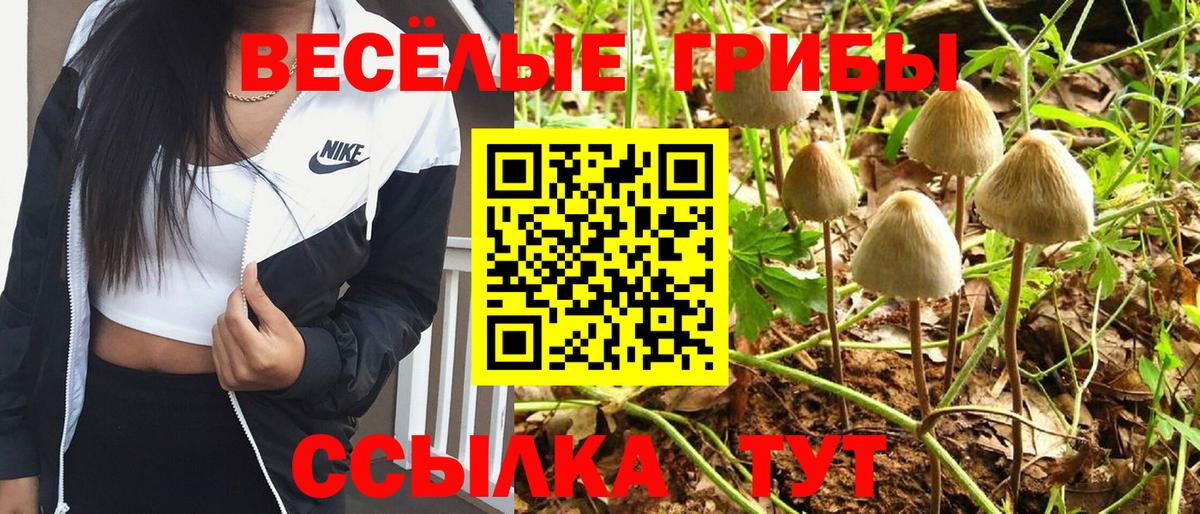 Галлюциногенные грибы Psilocybe  Галлюциногенные грибы прущие грибы  где купить наркоту  Вход с VPN  Владивосток 